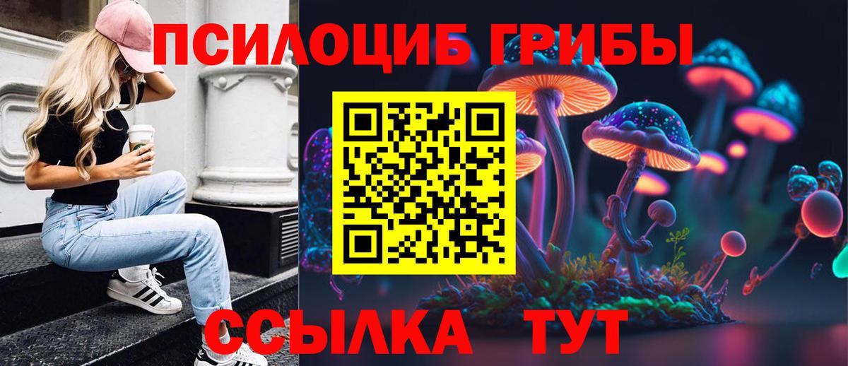 Галлюциногенные грибы Psilocybine cubensis  Вход с VPN  Конаково  Галлюциногенные грибы Psilocybe 